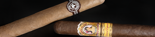 blogfeedteaser-Difference-Between-Robusto-and-Corona-2022