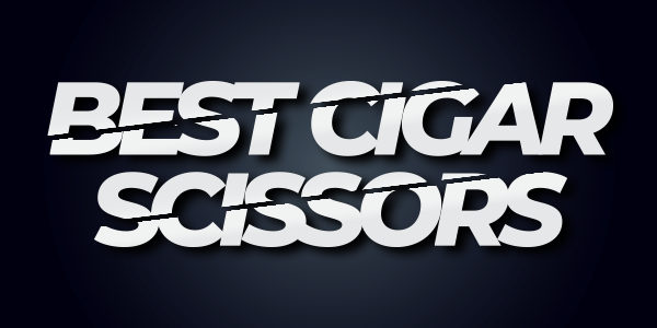 teaserimage-Cigar-Scissors-600x300