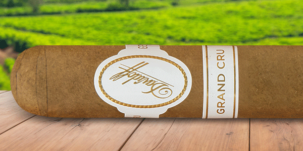 teaserimage-Davidoff-Grand-Cru-Toro