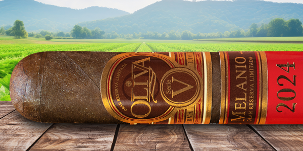 teaserimage-Oliva-Serie-V-Melanio-Edicion-Ano-2024